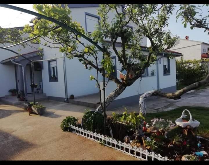 Gordana Apartments Fažana Zewnętrze zdjęcie